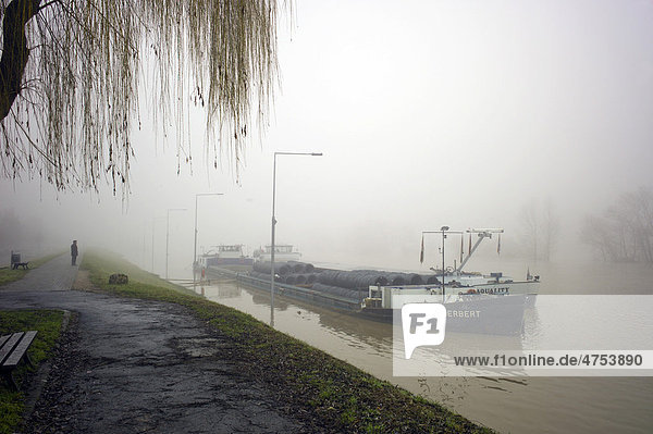 Schiff liegt im Nebel vor Anker  durch Hochwasser überflutete Schleuse  Schleuse Kostheim  Ginsheim Gustavsburg  Deutschland  Europa