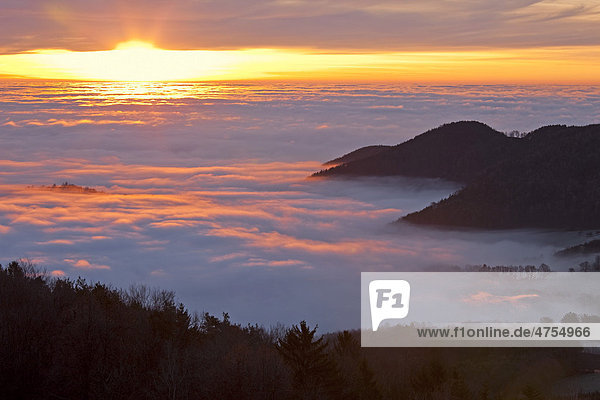 Sonnenaufgang mit rotem Nebelmeer und Hügel  Steiermark  Österreich  Europa