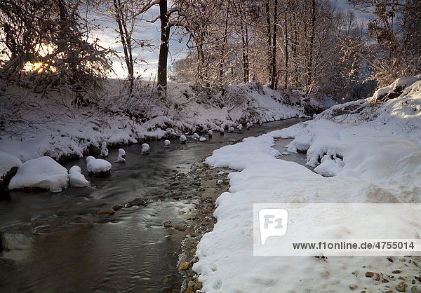 Flusslandschaft mit Schnee im ersten Morgenllicht  Steiermark  Österreich  Europa