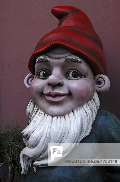 Large garden gnome in front of a flower shop Lueneburg Lower Saxony Germany Europe