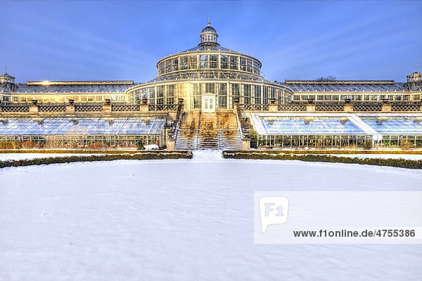 Schneebedeckter Botanischer Garten in Kopenhagen  Dänemark  Europa