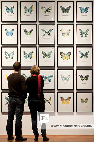 Zwei junge Leute betrachten Schmetterlingszeichnungen