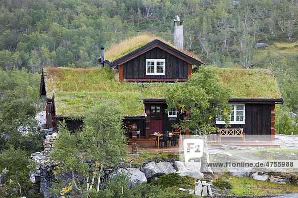 Norwegisches Wochenendhaus mit Grasdach  Norwegen  Skandinavien  Europa