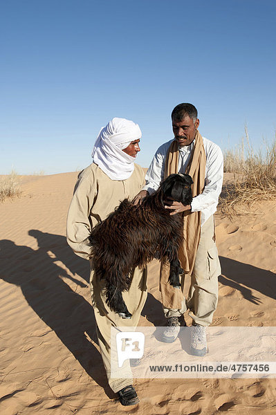 Beduine hält junge Ziege im Arm  Sanddünen  Wüste Sahara zwischen Douz und Ksar Ghilane  Südtunesien  Tunesien  Maghreb  Nordafrika  Afrika