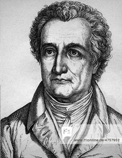 Johann Wolfgang von Goethe  deutscher Dichter  1749 - 1832  Porträt  historische Illustration  1880