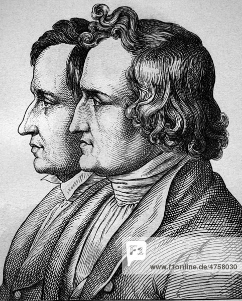 Jacob und Wilhelm Grimm  Gebrüder Grimm  Brüder  1785 - 1863  Porträt  historische Illustration  1880