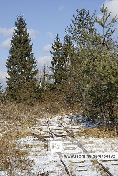 Gleisanlage einer Schmalspurbahn im Torfabbau  Stammbecken Moor bei Rosenheim  Bayern  Deutschland  Europa