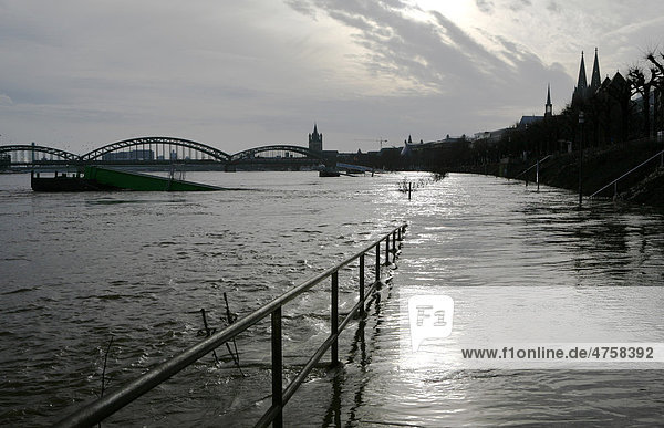 Hochwasser  Januar 2011  Köln  Rhein  Nordrhein-Westfalen  Deutschland  Europa