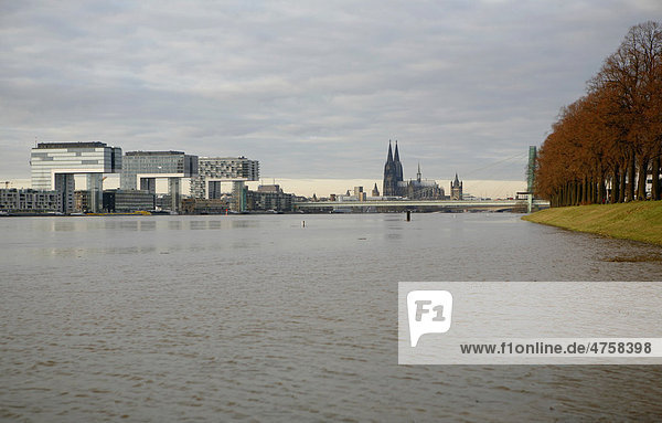 Hochwasser  Januar 2011  Stadtansicht  Dom  Kranhäuser  Köln  Nordrhein-Westfalen  Deutschland  Europa