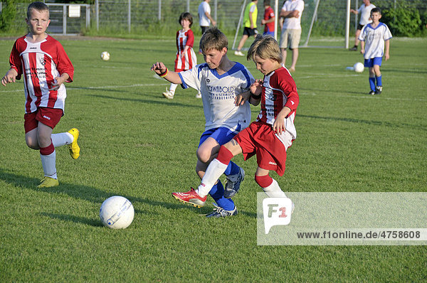E-1 junior soccer tournament  Baden-Wuerttemberg  Germany  Europe