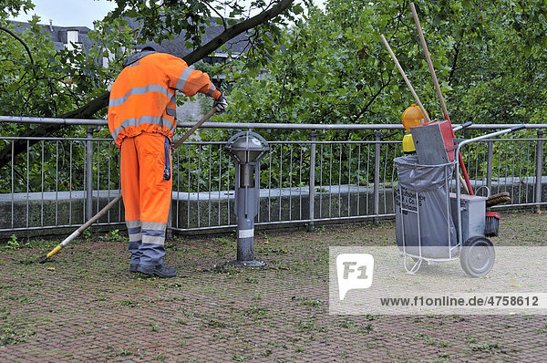 Arbeiter beim Beseitigen von Unkraut  Heinrich-Böll-Platz  Köln  Nordrhein-Westfalen  Deutschland  Europa