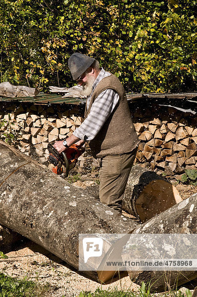 Alter Holzfäller mit Motorsäge teilt Baumstamm  Tegernseer Tal  Bayern  Deutschland  Europa