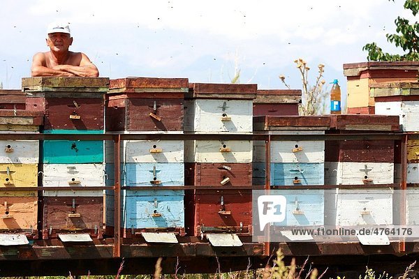 Apiarist among beehives in Kyrgyzstan