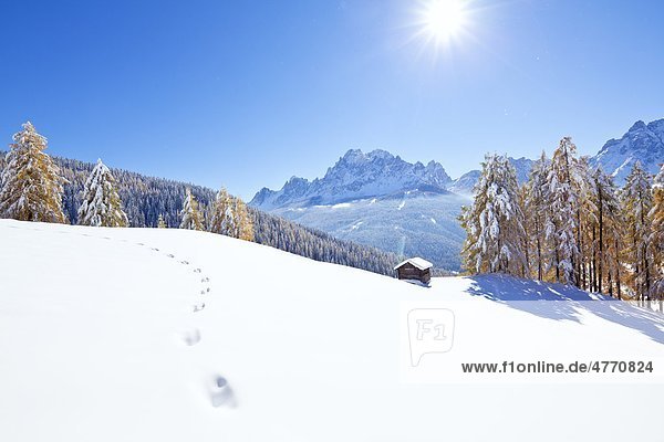 Haystack in snowy mountain landscape Sexten Alto Adige Italy