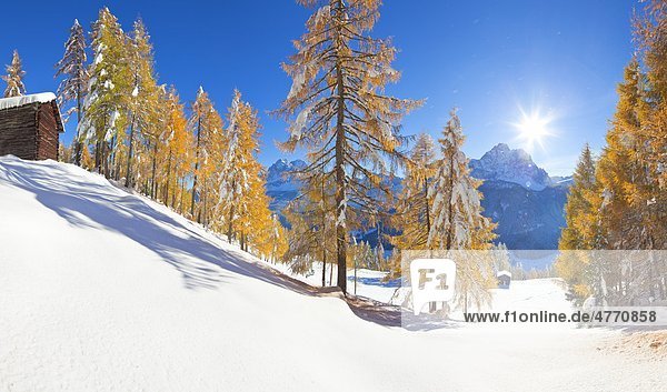 Haystack in snowy mountain landscape Sexten Alto Adige Italy