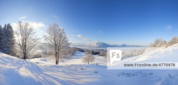 View on the Berchtesgaden Alps with Watzmann and Untersberg Salzburg State Austria