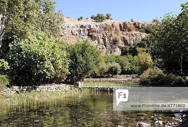 Quellen des Banias  hebräisch Hermon  eines der drei Quellflüsse des Jordans  Banias Nationalpark  Golanhöhen  Israel  Naher Osten  Vorderasien
