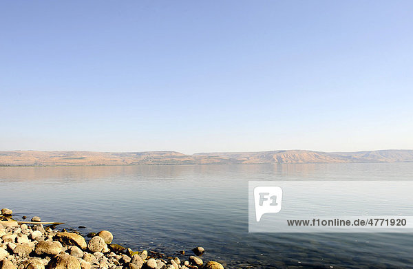 Capernaum  living place of Jesus Christ  Sea of Galilee  Kinneret  Galilee  Israel  Middle East  Southwest Asia