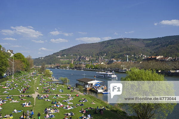 Cityscape with Neckar River  Heidelberg  Palatinate  Baden-Wuerttemberg  Germany  Europe