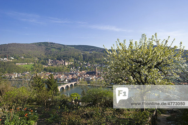 Stadtansicht vom Philosophenweg herab  Heidelberg  Neckar  Kurpfalz  Baden-Württemberg  Deutschland  Europa