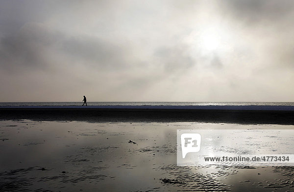 Person walking along the snow-covered beach on the East Frisian North Sea island of Spiekeroog  Lower Saxony  Germany  Europe