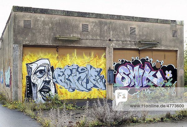 Transformer station painted with graffiti a former train repair centre closed in 2003 Wedau district Duisburg North Rhine-Westphalia Germany Europe