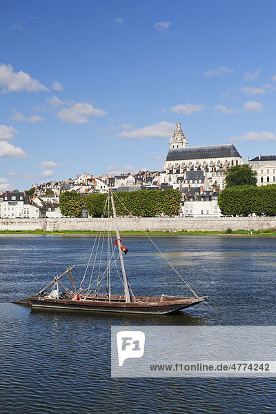 Stadtansicht von Blois mit Kathedral  Departement Loir et Cher  Frankreich  Europa
