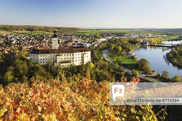 Schloss Horneck am Neckar  Gundelsheim  Baden-Württemberg  Deutschland  Europa