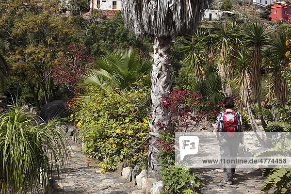 Botanischer Garten in Vallehermoso  La Gomera  Kanaren  Spanien  Europa