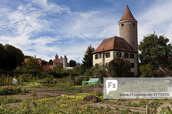 Blick auf die Altstadt mit dem Hertelsturm und Krugsturm  Dinkelsbühl  Landkreis Ansbach  Mittelfranken  Bayern  Deutschland  Europa