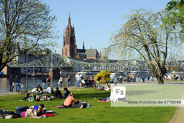 People at the riverside of the Main River  Schaumain Kai  Museumsufer  in front of the Eiserner Steg suspension bridge and Frankfurt Cathedral  Frankfurt am Main  Hesse  Germany  Europe