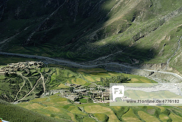 Terrassenanbau von Hochlandgerste beim Felsenkloster Drak Yerpa bei Lhasa mit tibetischem Dorf und Straße ins Kyichu-Tal  Tibet  China  Asien