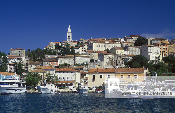 Fischerboote im Hafen von Vrsar  Istrien  Kroatien  Europa