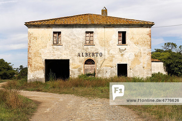 Verlassenes Bauernhaus mit Aufschrift Alberto  in der Nähe von Bolgheri  Toskana  Italien  Europa