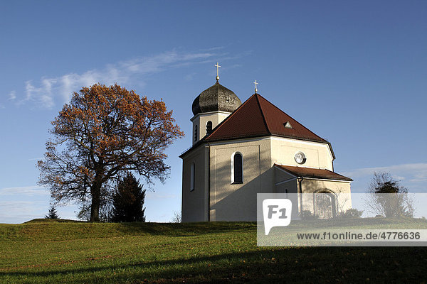 Christkönigskirche  1933 bis 1934  in der Nähe von Wildenwart  Chiemgau  Oberbayern  Bayern  Deutschland  Europa