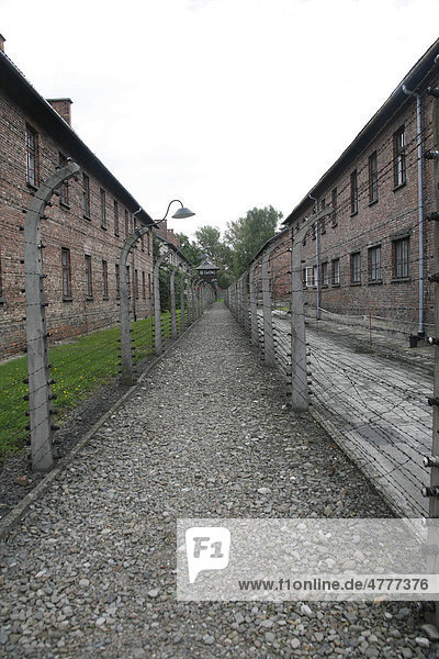 Im Konzentrationslager von Auschwitz  Polen  Europa