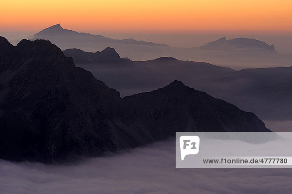 Mountain valley under fog with mountain peaks in the evening light  Allgaeu Alps  Kleinwalsertal valley  Vorarlberg  Austria  Europe