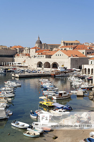Hafen der Altstadt von Dubrovnik  Süddalmatien  Dalmatien  Adriaküste  Kroatien  Europa