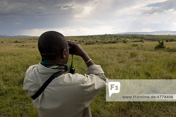 Führer beim Erspähen von Wildtieren  Masai Mara Nationalpark  Kenia  Afrika
