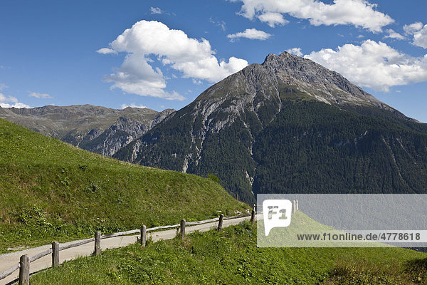 Berglandschaft  Wiesen und sonniger Weg im Unterengadin  Graubünden  Schweiz  Europa