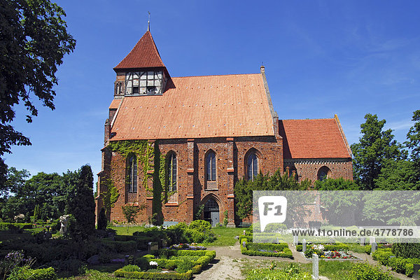 Marienkirche  historische Kirche aus dem 13. Jahrhundert  in Brandshagen  Gemeinde Sundhagen  Landkreis Nordvorpommern  Mecklenburg-Vorpommern  Deutschland  Europa