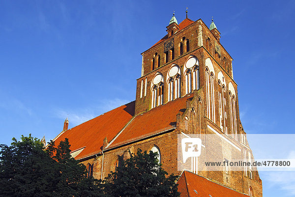 Historische St.-Marien-Kirche oder Dicke Marie  Hallenkirche  Greifswald  Europäischen Route der Backsteingotik  Mecklenburg-Vorpommern  Deutschland  Europa