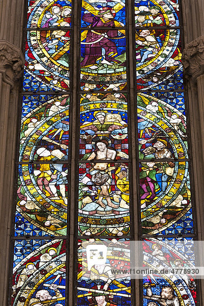 Glasfenster in der Domkirche Unserer Lieben Frau  Augsburger Dom  Augsburg  Bayern  Deutschland  Europa