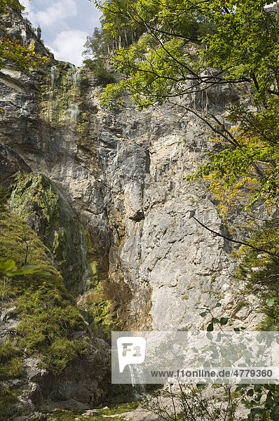 Mariafall im Naturschutzgebiet Ötschergraben bei Mitterbach am Erlaufsee  Niederösterreich  Österreich  Europa
