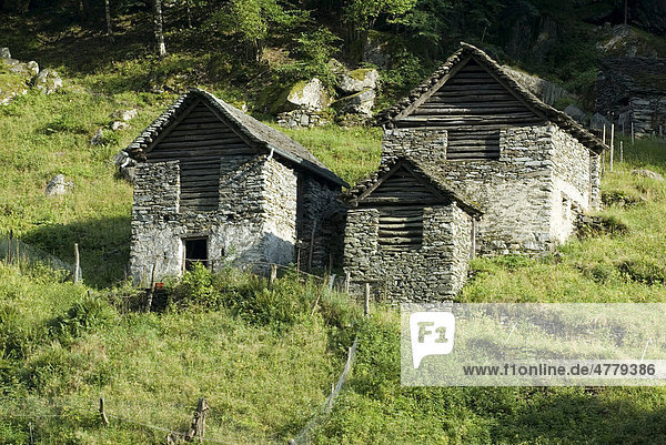 Steinhäuser im Rustico Stil  in Vallemaggia  Tessin  Schweiz  Europa