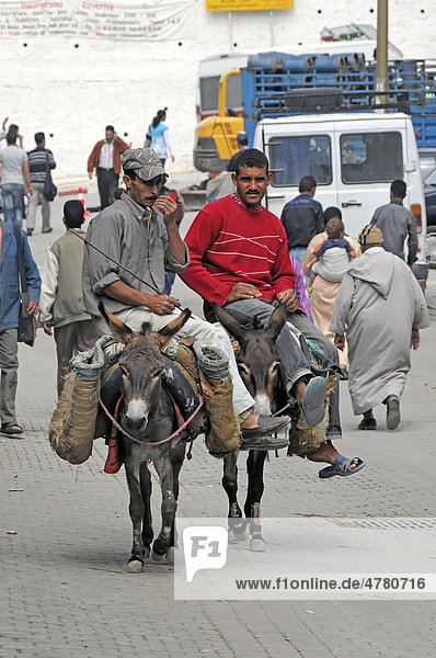 Männer auf Eseln unterwegs in der Medina  Moulay Idris  Marokko  Afrika
