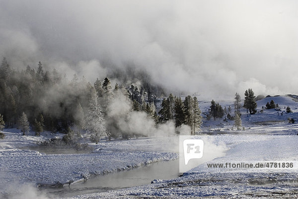 Stream rising  geothermal activity  Upper Geyser Basin  Yellowstone National Park  Wyoming  USA  America