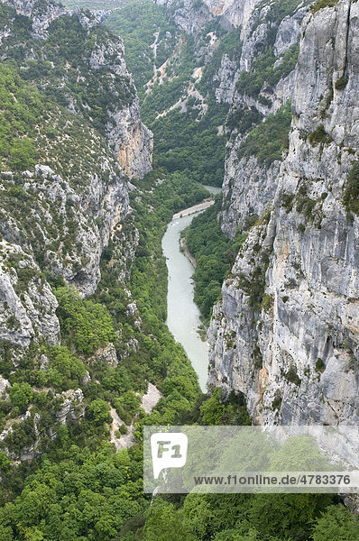 Fluss in einer Schlucht mit Kalksteinfelsen  Verdon Fluss  Gorges du Verdon  Verdonschlucht  Alpes-de-Haute-Provence  Provence  Frankreich  Europa