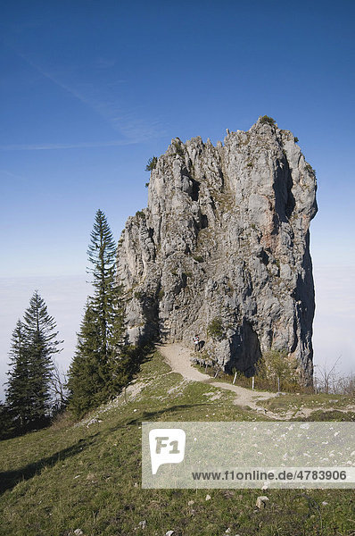 Kalksteinfels am Panoramaweg zur Kampenwand  Oberbayern  Bayern  Deutschland  Europa