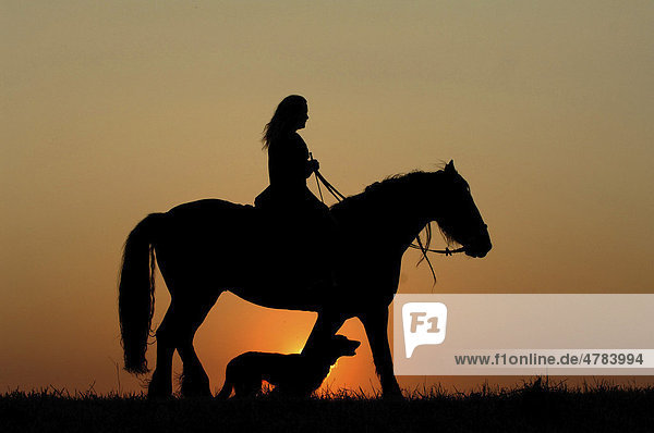 Woman riding a horse and a dog  in front of the sunset